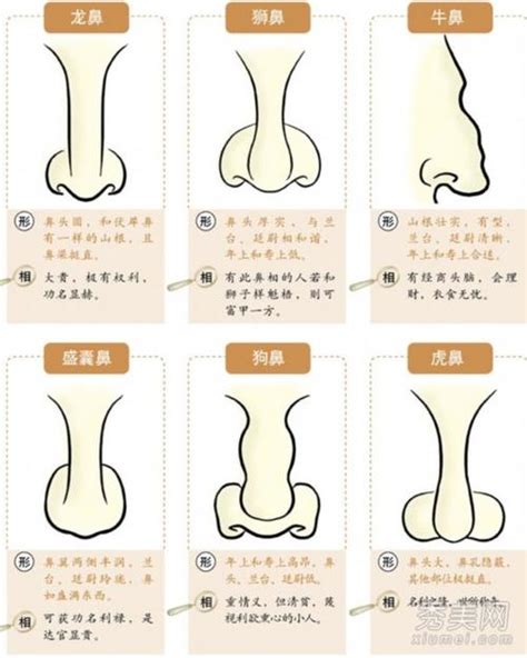 鼻孔大面相|十六种鼻子面相图文分析三六风水网